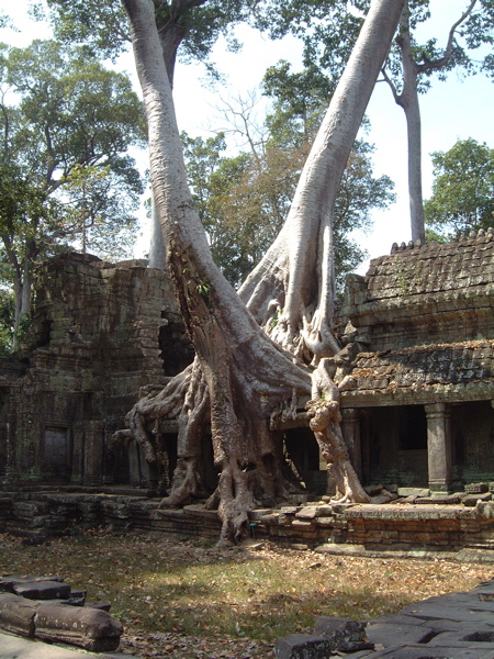 02_cambodia - 069